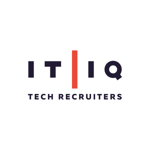 Team Page: IT/IQ Dream Team
